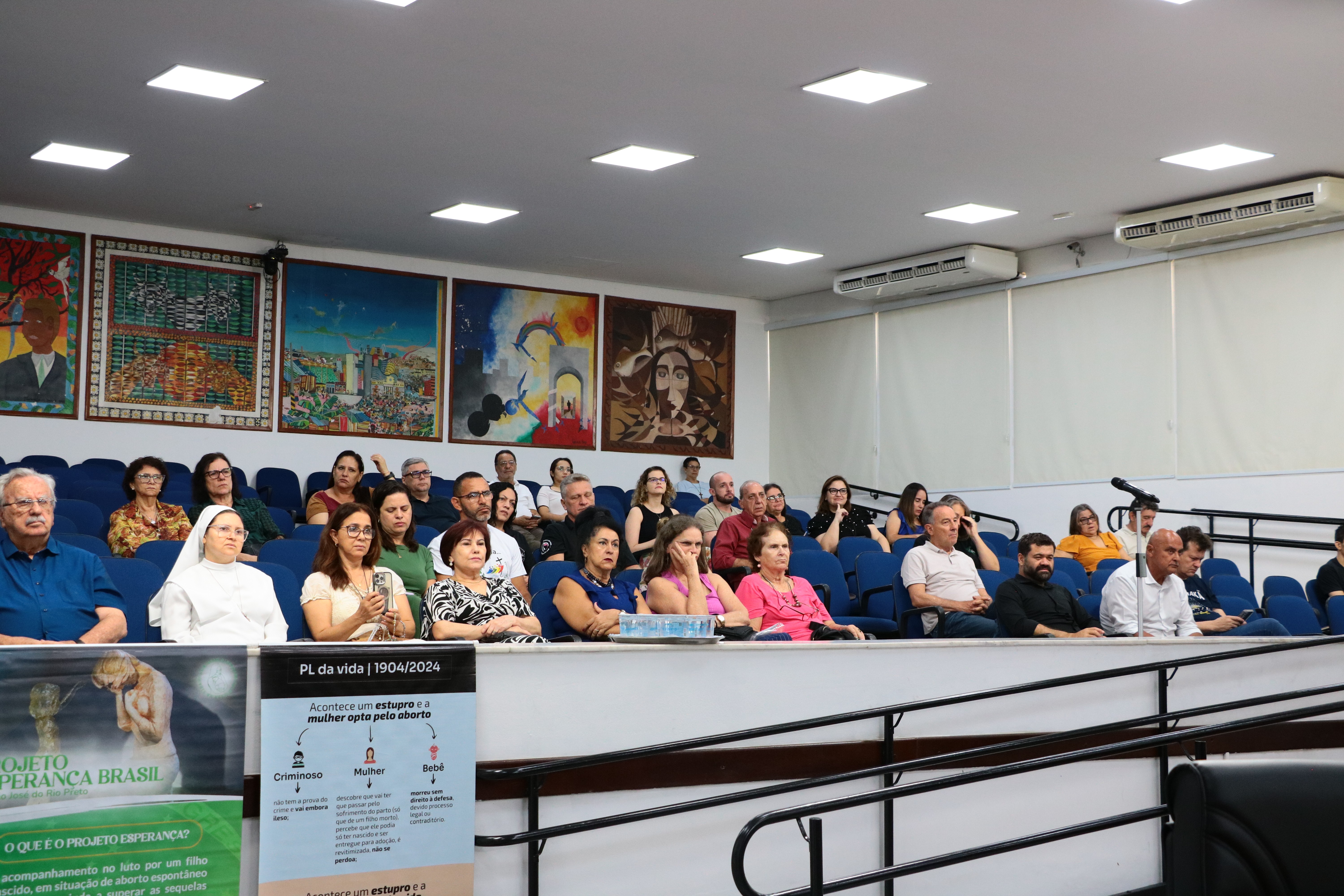 Audiência Pública aborda defesa da vida e saúde da mulher