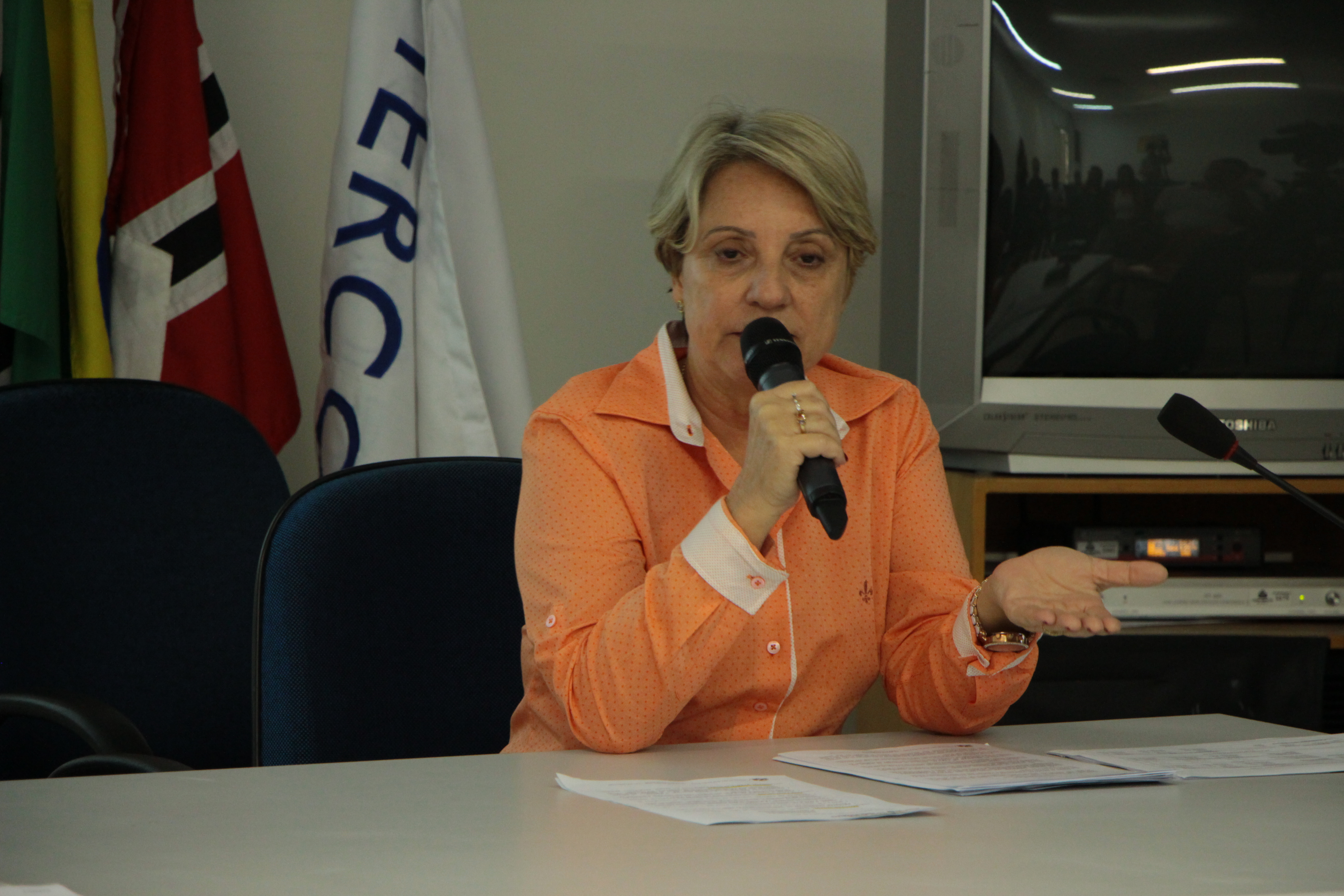 Secretária Mary Brito apresentou a execução orçamentária