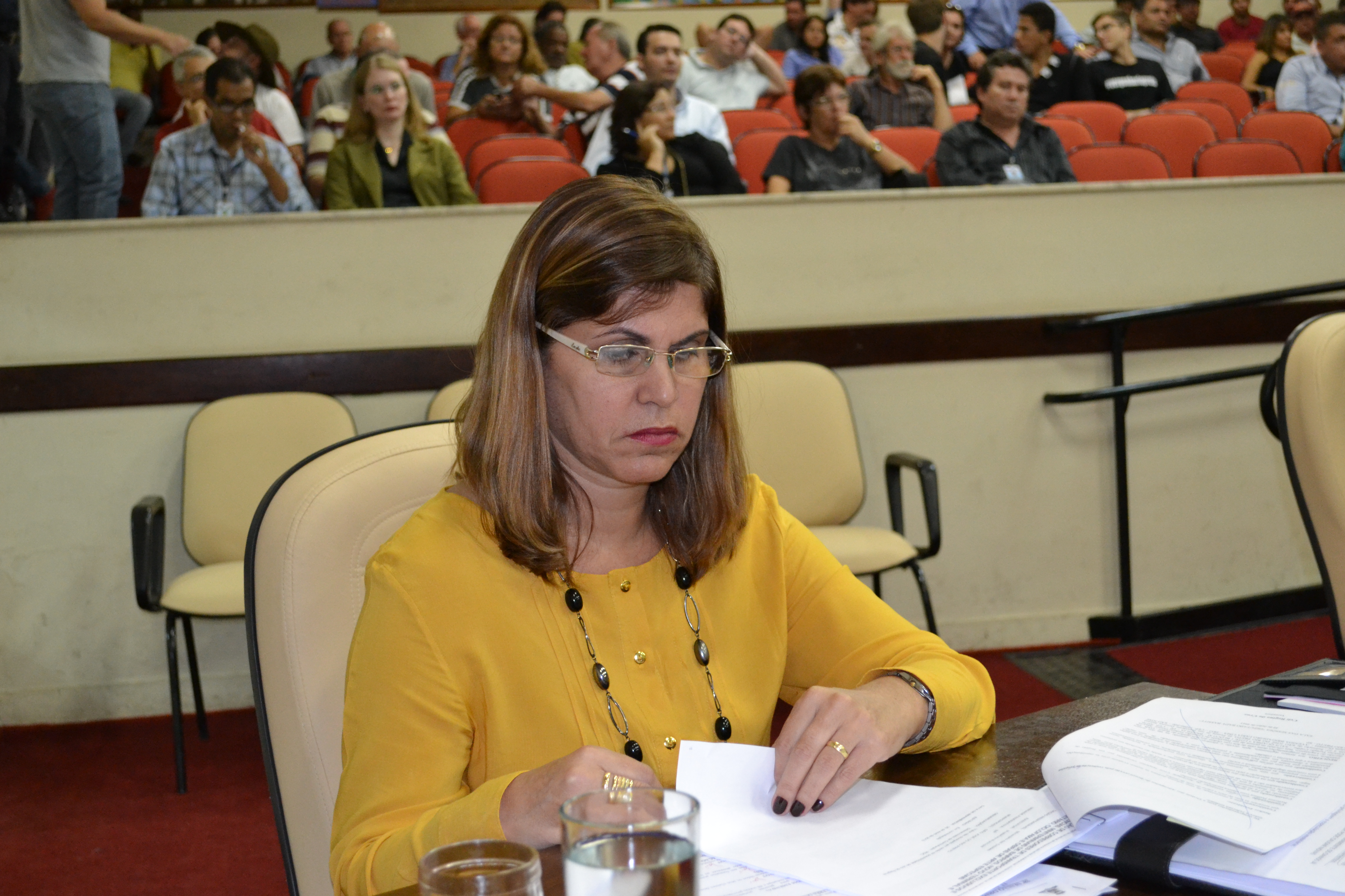 A vereadora Celi é presidente da Comissão