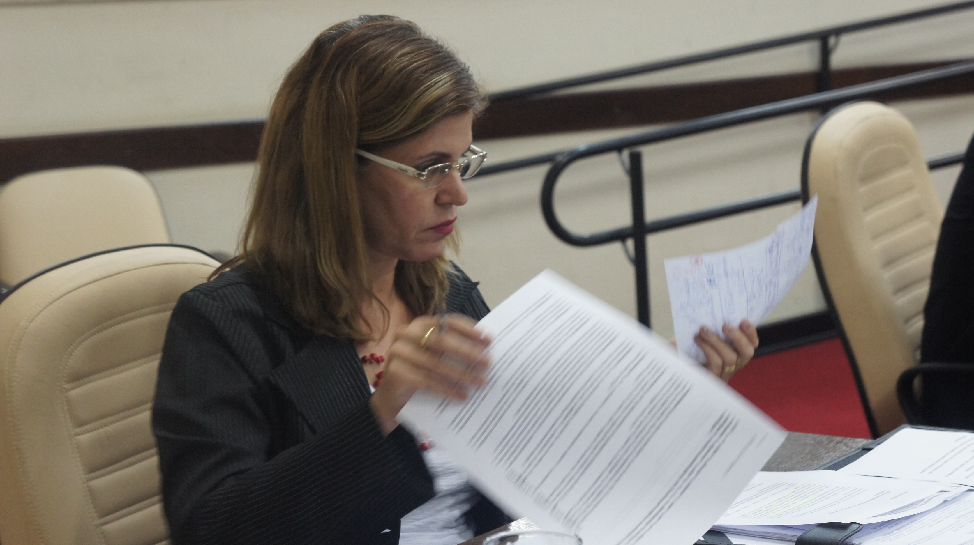 Iniciativa é da vereadora Celi Regina